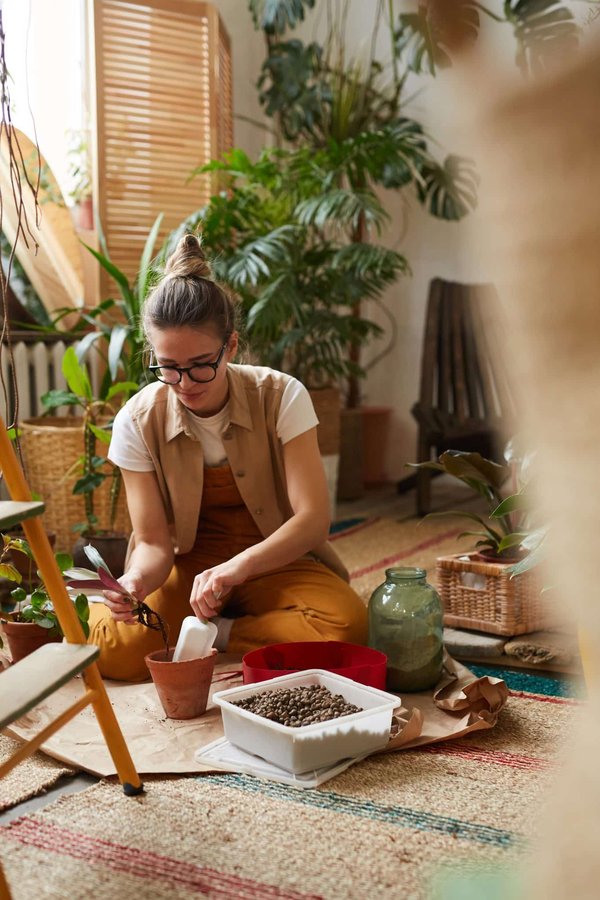 Les bienfaits insoupçonnés des plantes d'intérieur dans votre espace de travail